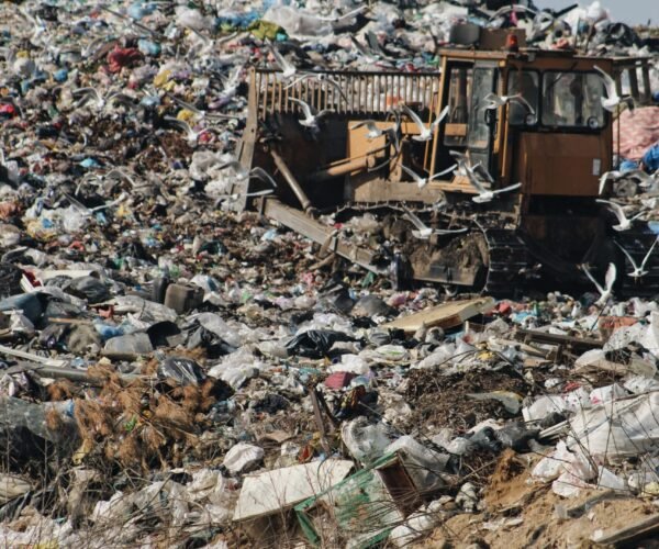 Processed with VSCO with a6 preset