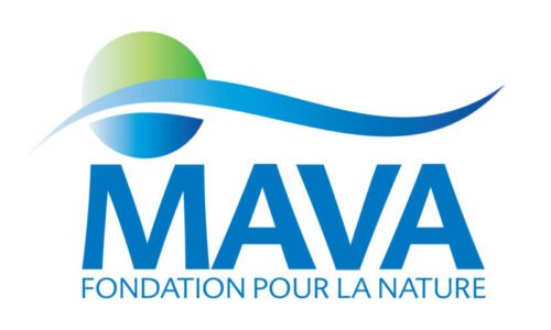 mava-foundation